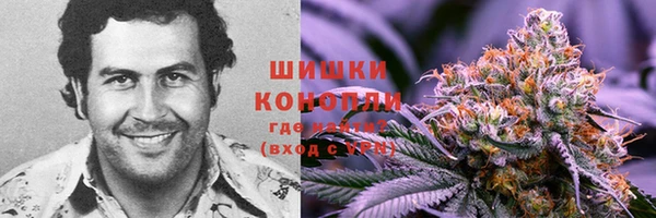 мет Арсеньев